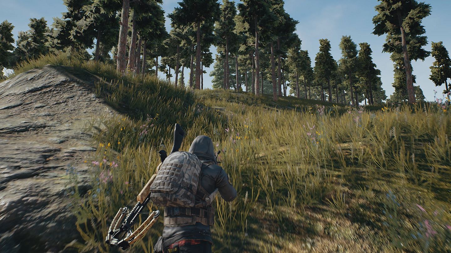 real life battle royale