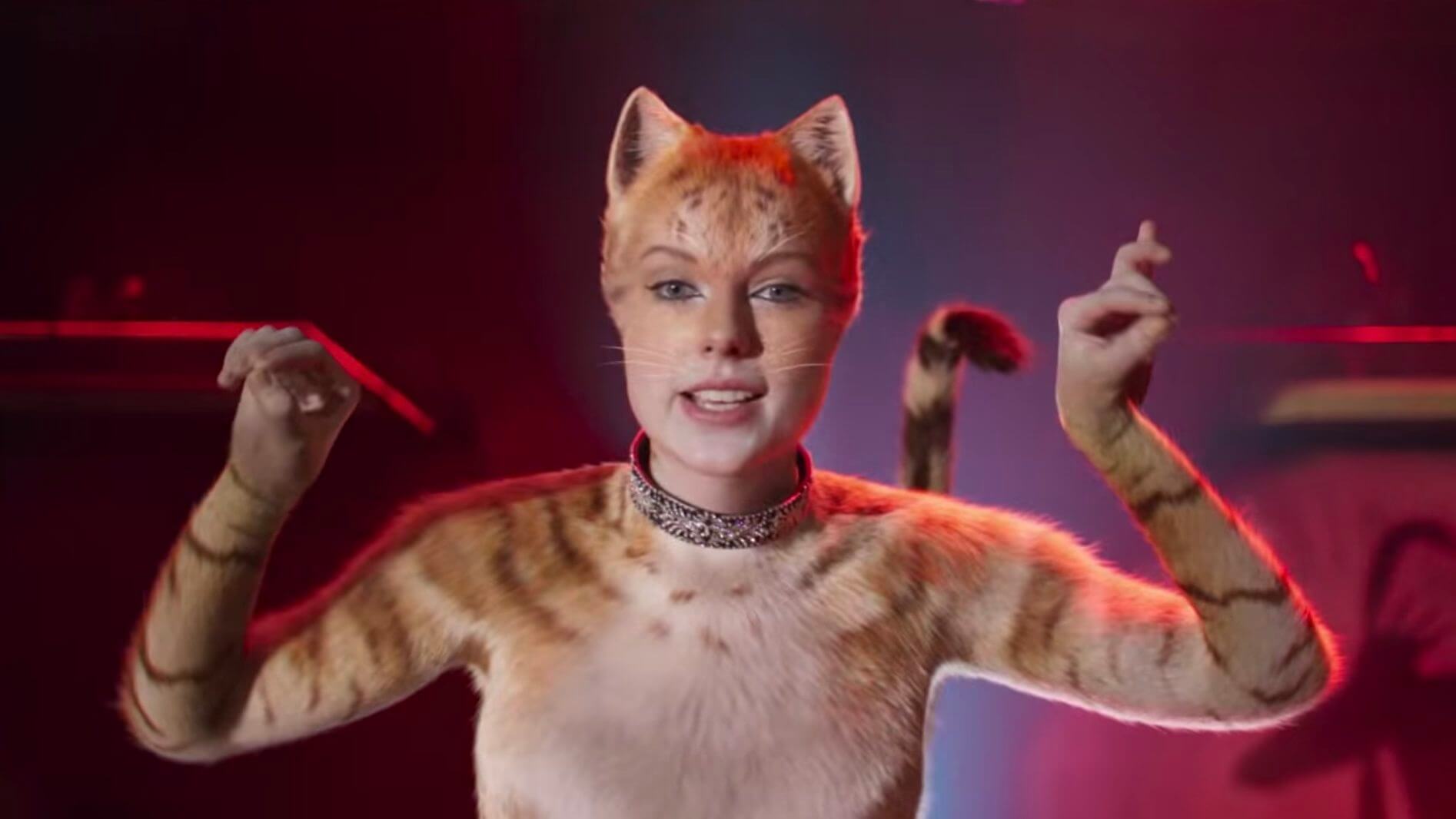 Cats