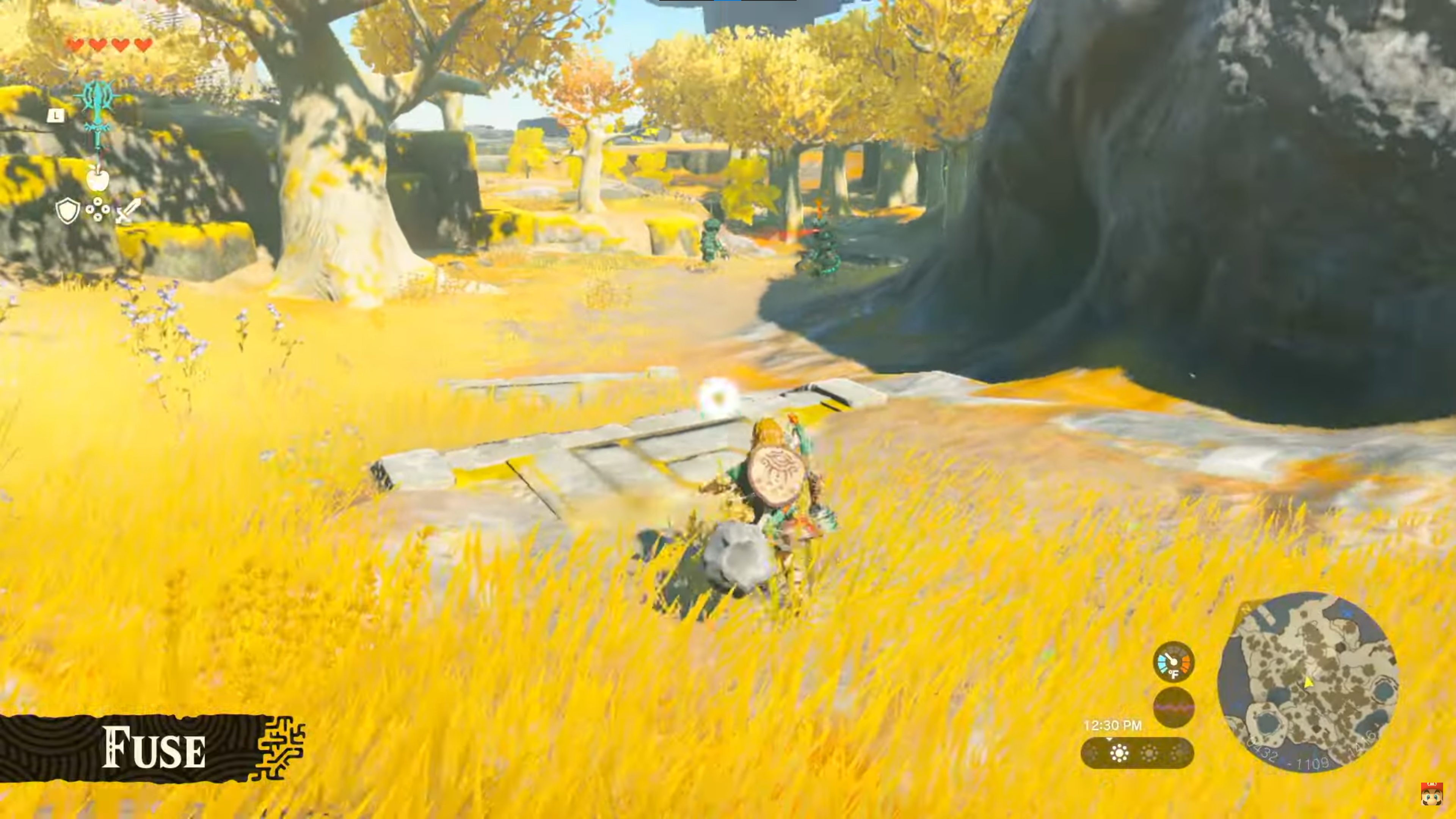zelda