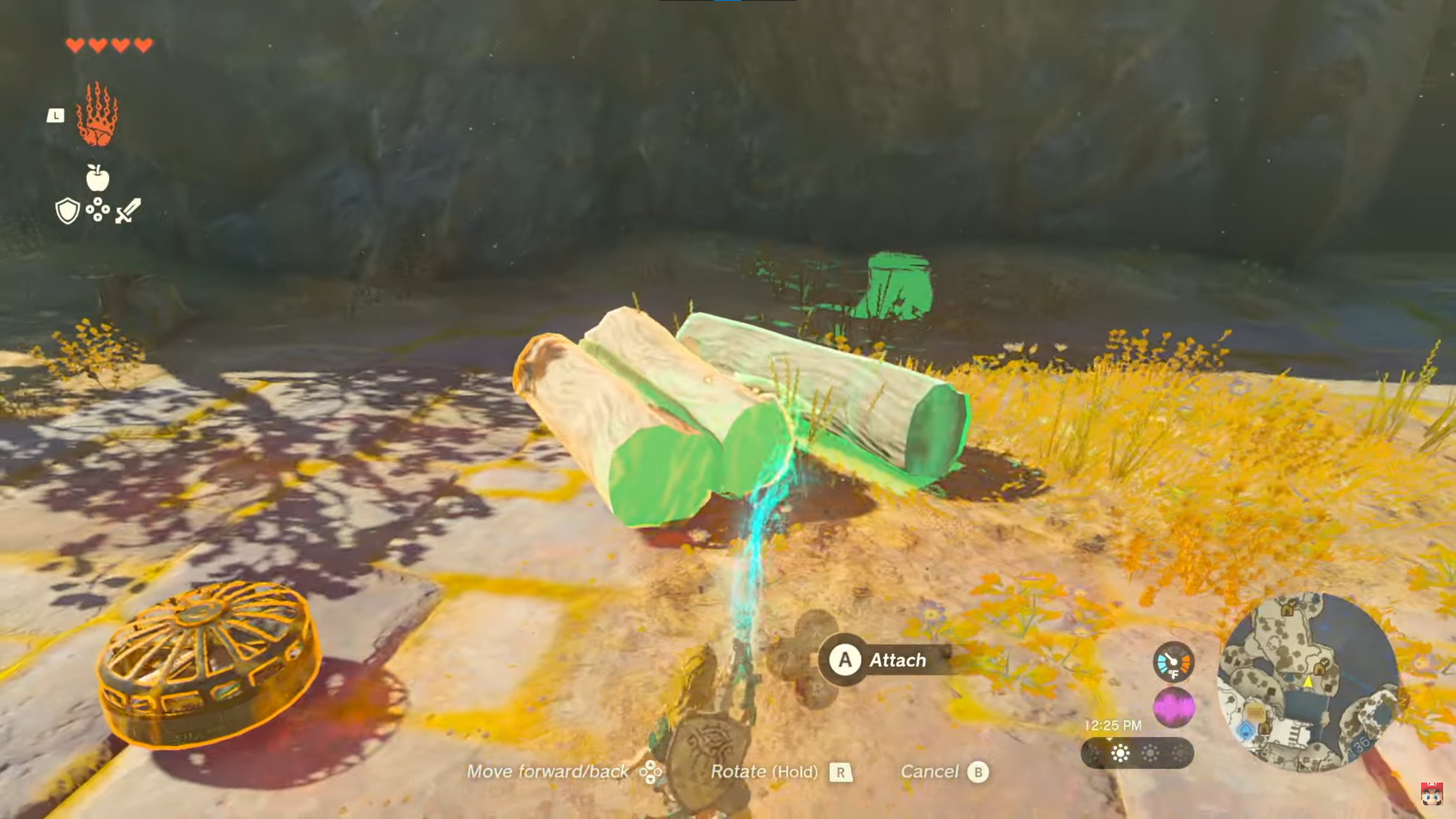 zelda
