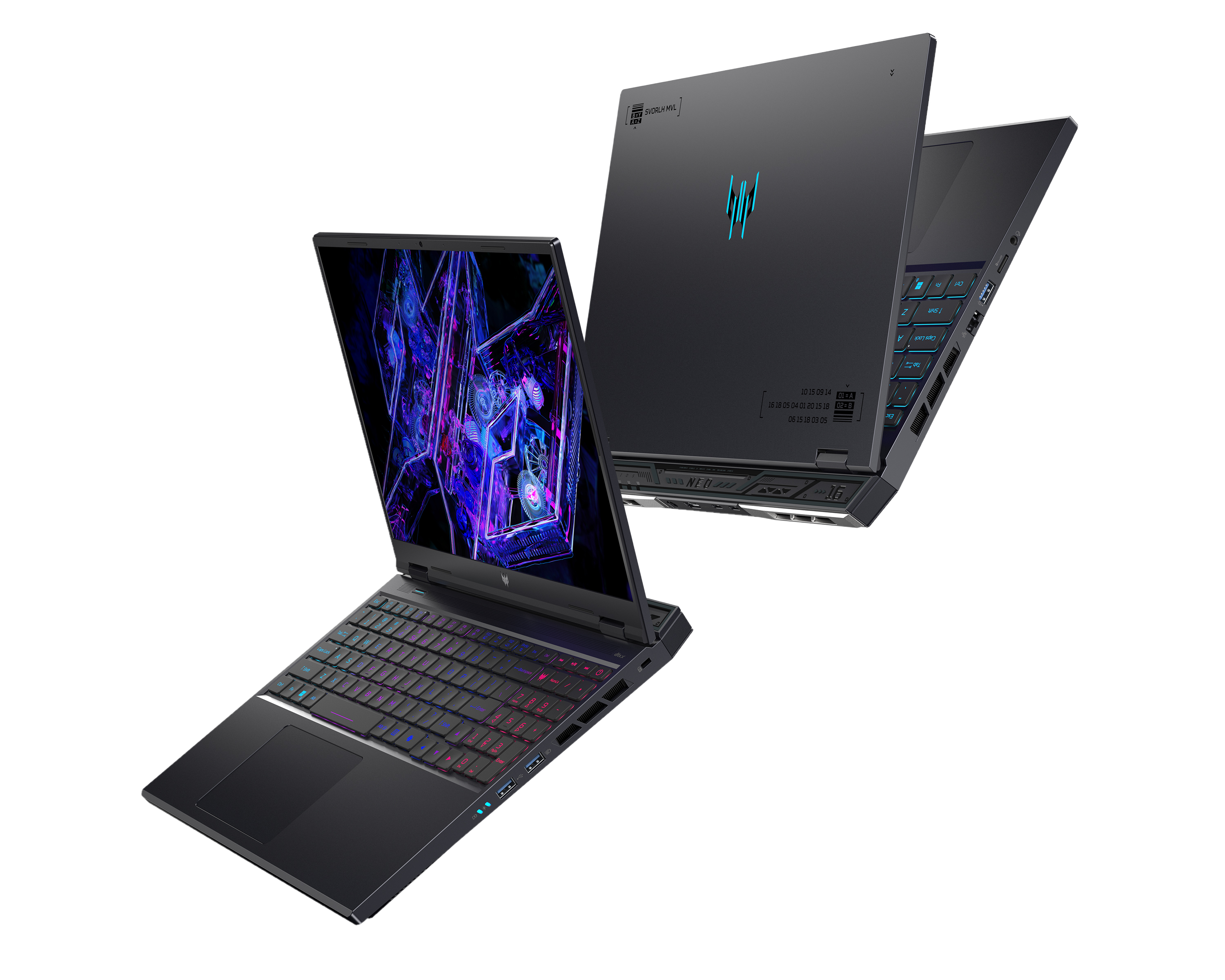 acer
