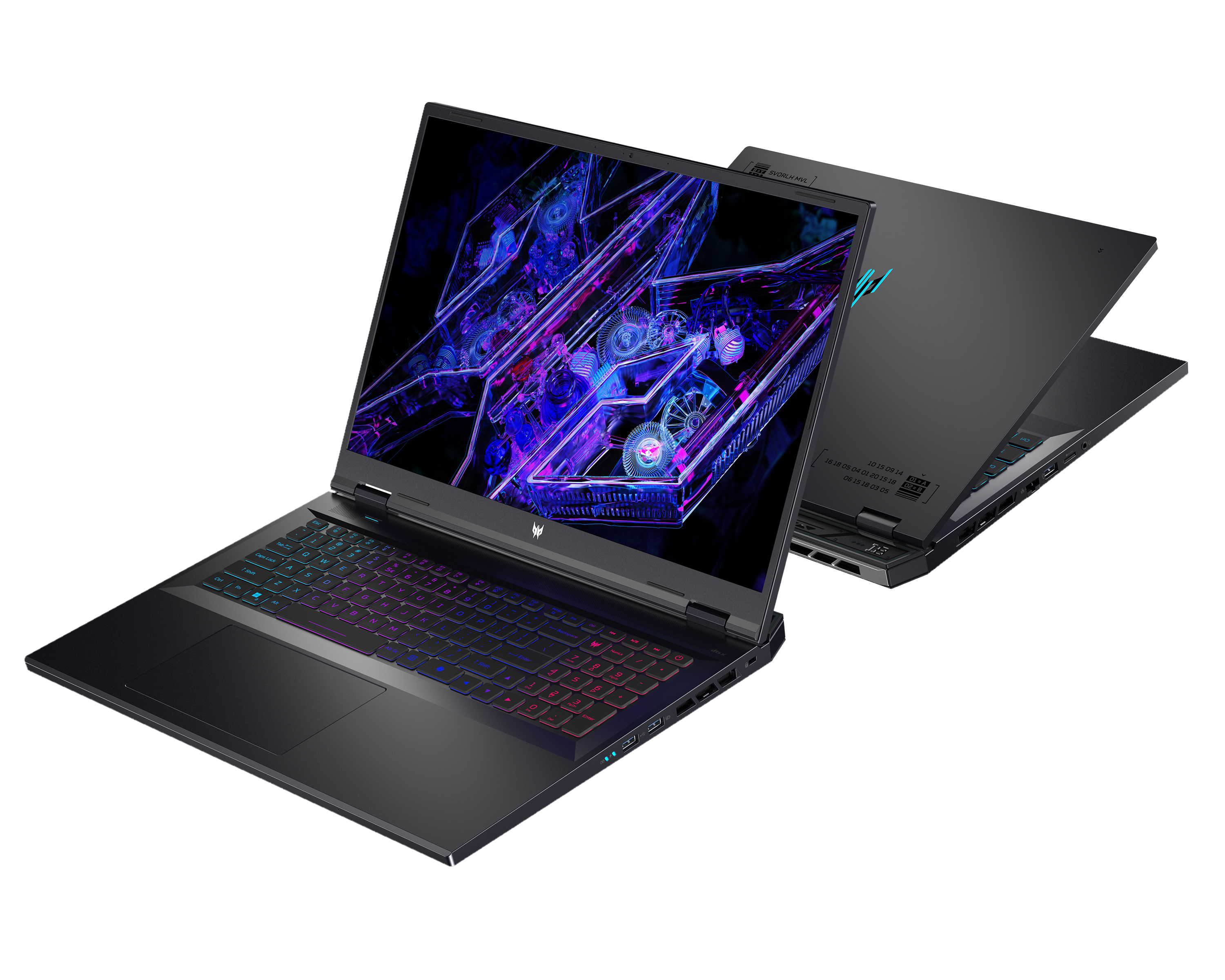 acer