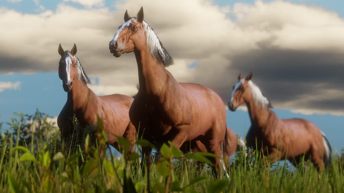 Red Dead Redemption 2 akan Memiliki 19 Jenis Kuda
