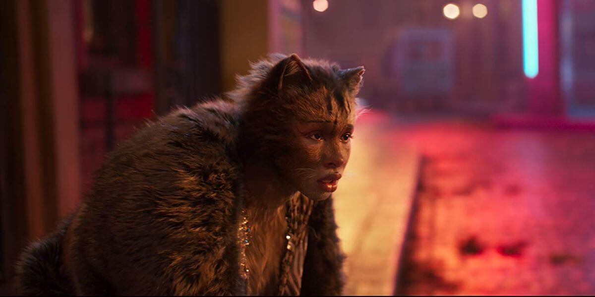 Cats