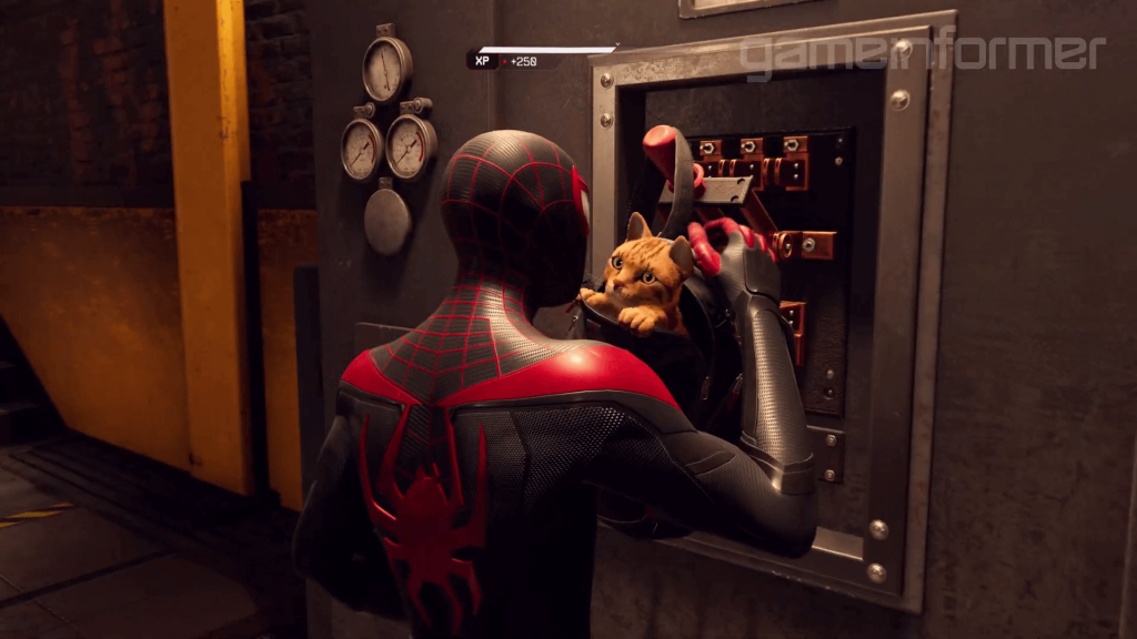 Spidey-Cat