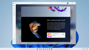 Windows 11