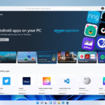 Windows 11