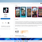 Windows 11