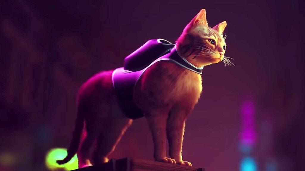 game stray